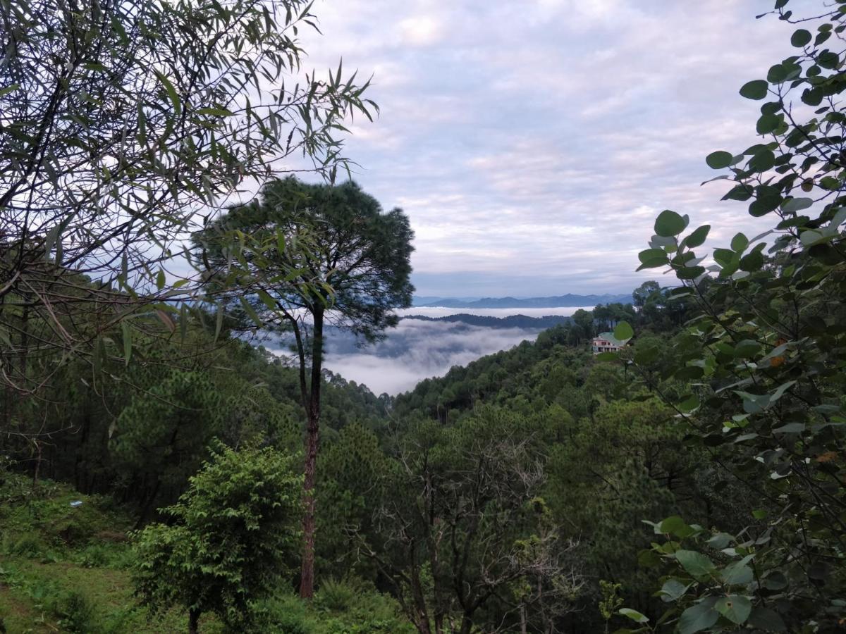 The Asgard Kasauli Bed & Breakfast ภายนอก รูปภาพ